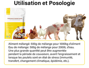 Suplemento de minerales y vitaminas para caballos, refuerzo del crecimiento de ganado y ovejas, Booster de croissance des bovins et des ovins - Product Image 3