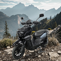 2000W Off-Road elektrikli motosiklet | 80 km/h uzun menzilli spor E motosiklet 12 inç vakum lastikleri ile