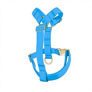 สายรัดอกสุนัขกันน้ำและกันน้ำกระเซ็น พร้อมคลิปหน้า/หลังและหัวเข็มขัดสีทอง - ของขวัญสำหรับสัตว์เลี้ยง - Product Image 1