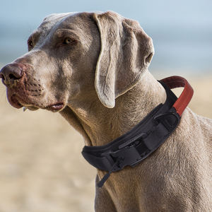 <span class=keywords><strong>Collar</strong></span> de Nailon Resistente Vintage con Hebilla Metálica de Liberación Rápida, <span class=keywords><strong>Collar</strong></span> Táctico Vintage para Entrenamiento de Perros con Asa - Product Image 1