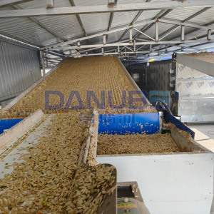 Secador de Nueces de Alta Productividad con Cinta Transportadora de Malla, Equipo de Secado de Nueces, Maquinaria Deshumidificadora de Frutos Secos - Product Image 1