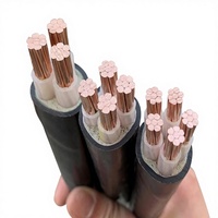 Cable de Par Trenzado WDZN-RYJS LSZH con Rendimiento Ignífugo para Complejos Comerciales, Instalaciones Públicas y Edificios de Gran Altura