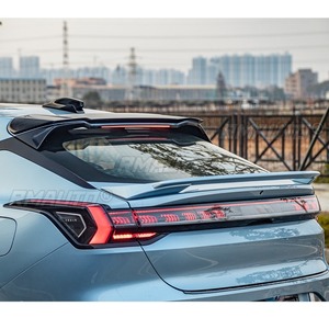 Para ZEEKR 001: Kits de Estilización, Alerón Trasero, Alerón de Maletero, Alerón de Techo, Kit de Carrocería - Product Image 4