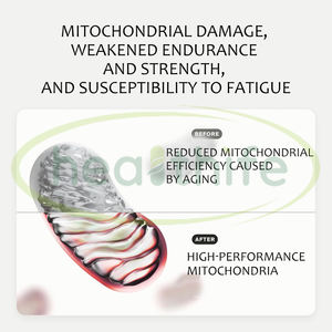 Complément alimentaire Healthife Urolithin a 500 mg avec NAD+ CoQ10 Resveratrol PQQ pour hommes et femmes - Product Image 6