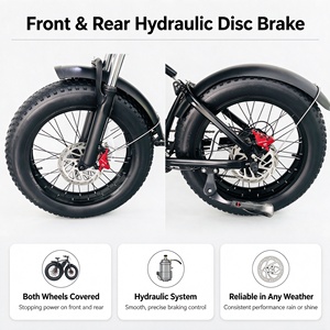 Bicicleta Eléctrica Fatbike de 20 Pulgadas al Por Mayor OEM para Adultos, 48v20ah, 7 Velocidades, Frenos de Disco Hidráulicos, Bicicleta Eléctrica de Montaña para Hombre - Product Image 5