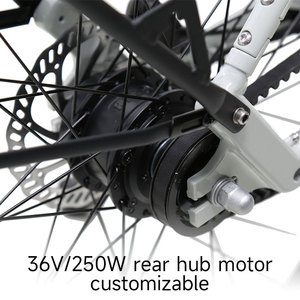 Bicicleta Eléctrica Ligera de Largo Alcance con Batería de Litio de 9.8AH y Transmisión por Correa, con Portaequipajes Trasero, Lyte EZ Urban Tou, Precio de Fábrica - Product Image 5