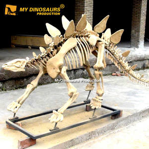 Mon Dino Grandeur nature Dinosaure Stégosaure Squelette Pour Center Commercial - Product Image 4