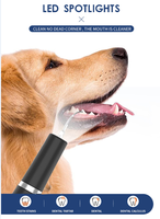 Nettoyeur de dents pour animaux de compagnie en acier inoxydable à ultrasons, lumière LED, 3 modes, kit de nettoyage dentaire pour chiens et chats, soins bucco-dentaires à domicile, étanche IPX6
