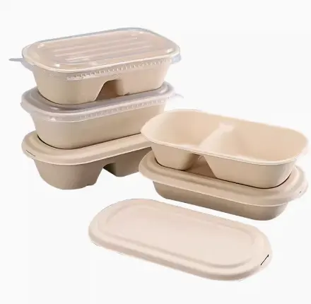 寿司弁当サラダ包装用の蓋付きの卸売生分解性堆肥化可能サラダボックス持ち帰り紙食品容器
