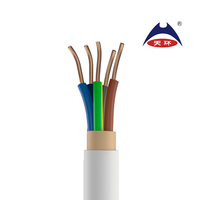 Kabel Listrik NYM 300/500V Multi Inti 2-5 Inti Tembaga Padat Berisolasi PVC dengan Selubung PVC untuk Peralatan Rumah Tangga dan Penggunaan Industri EN