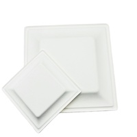 Assiettes jetables rondes blanches en bagasse de canne à sucre, minimalistes, écologiques, pour la rentrée scolaire