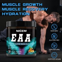 Complément alimentaire de musculation OEM, faible en calories, BCAA EAA instantané, poudre d'acides aminés essentiels pour l'approvisionnement énergétique sportif, soutien musculaire
