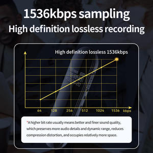 Factory Custom One - <b>key</b> Recording Noise Reduction Digital Voice Recorder Recording Pen Voice Recorder Metal Meeting Interview - Product Image 6