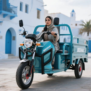 Triciclo Elettrico da Carico per Adulti a 3 Ruote Scooter Elettrico Tricicli <span class=keywords><strong>Tuk</strong></span> <span class=keywords><strong>Tuk</strong></span> Veicoli Elettrici Tipo Taxi - Product Image 6