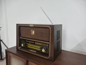 Radio FM Tonaudio con Costruzione in Legno Resistente, BT Wireless, USB e Accessorio per Scheda TF, Custodia Retrò in Legno - Accessorio Audio/Video - Product Image 4