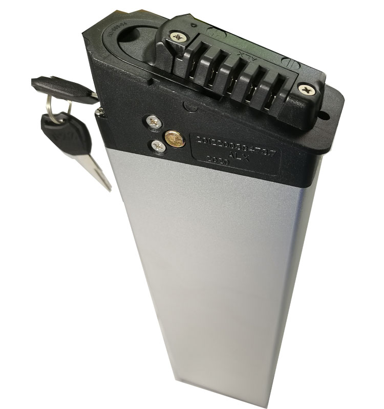 Hot Selling Mate X Bike Battery - 750w 48v 14ah Ebike Power