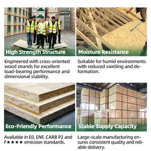 Mejor Precio Tablero <span class=keywords><strong>OSB</strong></span> 1220x2440mm 6/9/12/15/18mm Superficie Lijada ENF <span class=keywords><strong>OSB</strong></span>/2/3/4 Flakeboard Panel para Uso en Muebles - Product Image 4