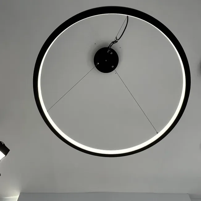 Woonkamer Nordic Ronde Ronde Led Hangende Lichtbaan Serie Cn2540 Voor Indoor Decoratief