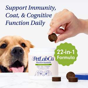 Masticables Multivitamínicos para Perros 22 en 1 OEM/ODM - Suplemento para Mascotas con Vitaminas A, E, <span class=keywords><strong>B12</strong></span> y Antioxidantes para la Salud Inmunológica, de la Piel y las Articulaciones - Product Image 6