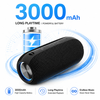 Altavoz Bluetooth Portátil de 20W, IPX7 Impermeable, Altavoz Inalámbrico para Exteriores, Altavoz de Bajos con Doble Controlador, Luz RGB, Batería de 3000mAh