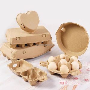 Nhà Máy Tái Sử Dụng Trứng Thùng Carton Sinh Học Phân Hủy Mía Bã Mía Ủ Gà Trứng Bao Bì Dùng Một Lần Trứng Gà - Product Image 5