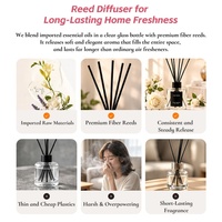 Diffuseur de parfum miniature Ns Style en verre transparent avec bouchon à bille coloré, vente en gros, parfum personnalisé pour la maison et les placards