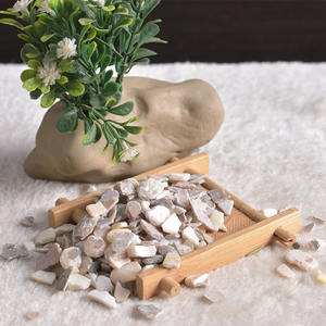 Großhandel zhen zhu mu natürliche getrocknete Hyriopsis cumingii Muscheln Margari tifera Concha Schnitte für Kräuter - Product Image 6