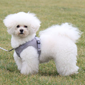 Jenis rompi yang dapat diatur reflektif nyaman Harness hewan peliharaan anjing dan kucing Universal Harness dengan set tali traksi - Product Image 4