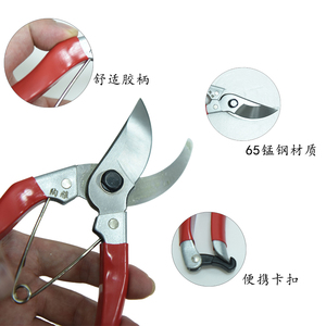 <span class=keywords><strong>Toraya</strong></span> H2 กรรไกรตัดแต่งกิ่งสวนมือเดียวผลิตในสวิสประสิทธิภาพสูง - Product Image 2