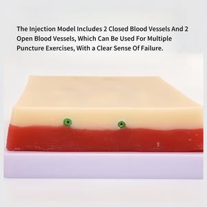 Tıbbi bilimde cerrahi egzersiz ve sütür uygulaması iç<span class=keywords><strong>in</strong></span> 3 katmanlı silikon tıbbi eğitim cilt modeli - Product Image 5