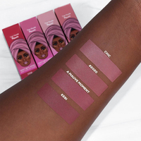 Rouge à lèvres mat longue durée personnalisable à base de minéraux OEM boîte de rouge à lèvres imperméable à l'eau de marque privée emballage pour le maquillage des lèvres