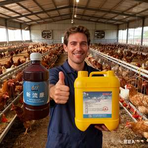 Additivi per mangimi misti fitosteroli per l'oca anatra di pollo per ridurre il colesterolo nelle uova di carne di pollame OEM/ODM - Product Image 5