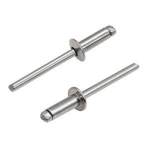 Tous les rivets en acier inoxydable 304 /316 à tête bombée 4.8x8mm-<span class=keywords><strong>40mm</strong></span> DIN Standard - Product Image 2