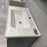 WJL Nouveau design moderne, miroir éclairé, lavabo mural en céramique en acier inoxydable, meuble-lavabo gris pour salle de bain