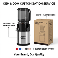 OEM 250W AC-motor Hoge Opbrengst 5,11 Inch Brede Invoeropening Koudgeperste Slow Juicer RVS Slow Juicer Machine