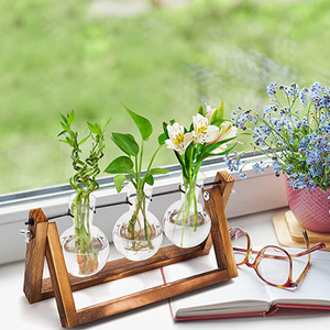 Estaciones de Propagación de Plantas de Escritorio, Terrario con Soporte de Madera, Regalo para Amantes de las Plantas, Macetas de Vidrio para Decoración de Bodas - Product Image 5