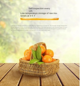 เครื่องคั้นน้ำส้มผลไม้สดอัตโนมัติ - Product Image 6