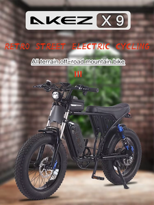 Vélo électrique longue portée X9-8 avec cadre en acier, batterie au lithium 15AH 48V, prise EU, porte-bagages arrière, double suspension, freins à disque hydrauliques, 250W - Product Image 4