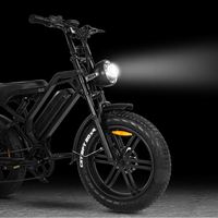 Vélo électrique en stock prêt à l'expédition, 1000w, pneus larges de 20 pouces, vélo électrique urbain 250w, vélo électrique en acier, UE, États-Unis, Fatbike adulte, 25 km/h
