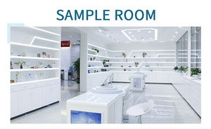 Poudre de camouflage capillaire à base de plantes OEM, bâton de coiffage, outils imperméables pour le toucher des racines, remplissage capillaire pour couvrir les cheveux gris et l'amincissement des cheveux - Product Image 5