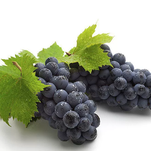Raisins noirs parfaits Raisins noirs doux éclatant <span class=keywords><strong>de</strong></span> douceur - Product Image 5
