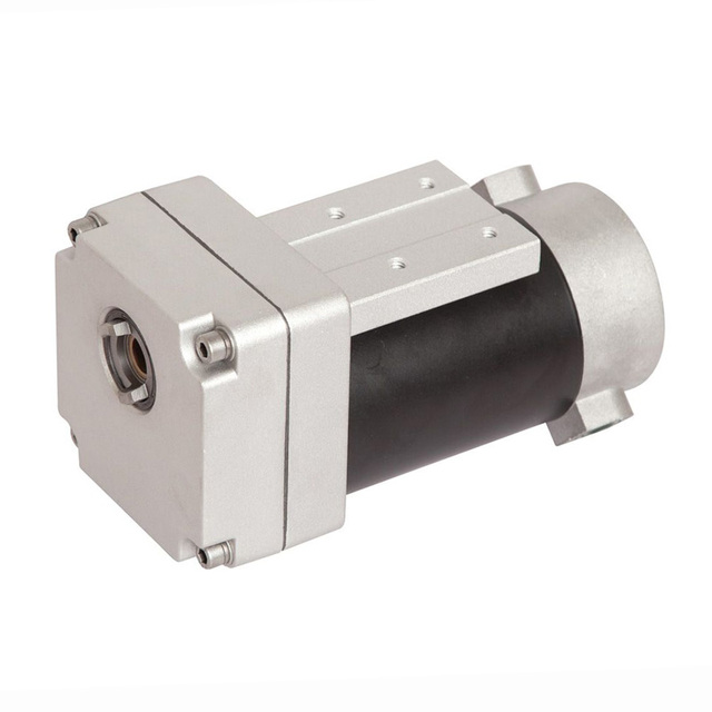 80ZY140-98JB12.308 120V DC Motor IP55 Hollow Shaft Permanent Magnet Brush Commutation 60W 180RPM Electric Bicycle Home Appliance