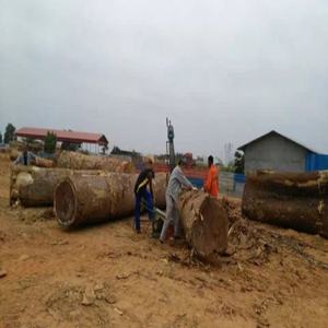 Motosierra portátil para cortar troncos de madera, paquete para jardín, sierra Transcut - Product Image 4