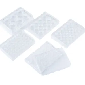 AMNGENTHigh Quality Transparent Multi Well Tissue Adherent Treatment Plastic Cell Culture Plates 96well 6well media plate