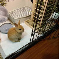 Mangeoire à foin en bois pour lapins, support d'alimentation vertical anti-gaspillage pour animaux de compagnie, distributeur de foin et de herbe pour petits animaux