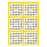 Nouveau jeu de bingo 2025 avec 75 billets de jeu et 10 carnets de cartes de bingo imprimées numériquement pour événements sociaux