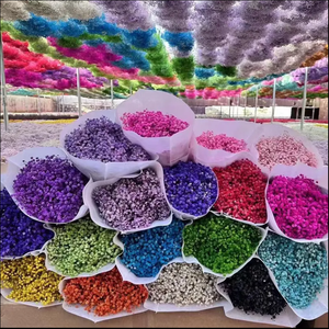 Prix bas, haute qualité, décoration de bouquet de mariage, fleurs séchées naturelles Gypsophila, toucher réaliste, Gypsophila préservée. - Product Image 1