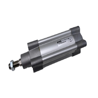 Cylindre pneumatique pour automatisation industrielle P1F-S050MS-0080-0000 pour PLC