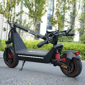 2023 ab abd İngiltere iki tekerlekli hızlı katlanabilir 250W 350W 500W 1300W çıkarılabilir pil scooter