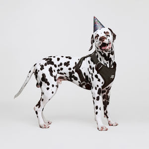 Neopren Premium Oxford ayarlanabilir yansıtıcı kolay kontrol hizmeti köpek koşum büyük köpekler için hiçbir çekme köpek yelek eğitim yürüyüş - Product Image 2